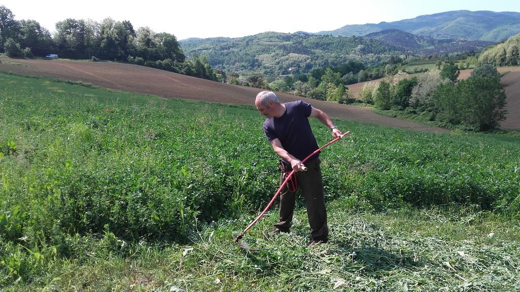 Agriturismo Stazione Di Monta Villa Vicchio Dış mekan fotoğraf