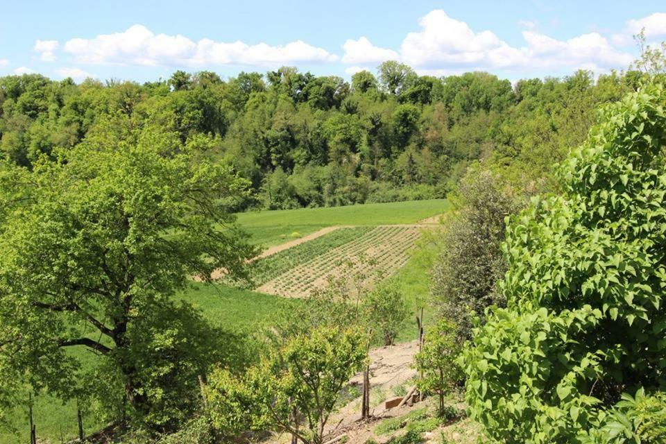 Agriturismo Stazione Di Monta Villa Vicchio Dış mekan fotoğraf